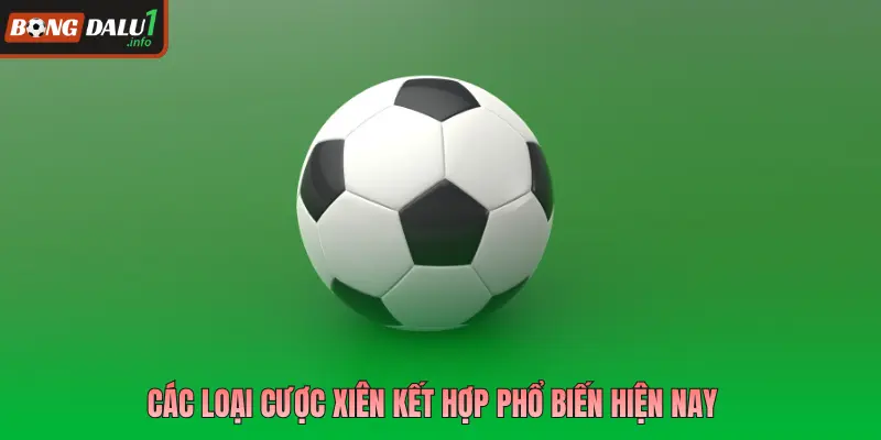 Các loại cược xiên kết hợp phổ biến hiện nay