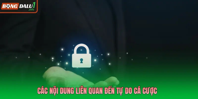Các nội dung liên quan đến tự do cá cược