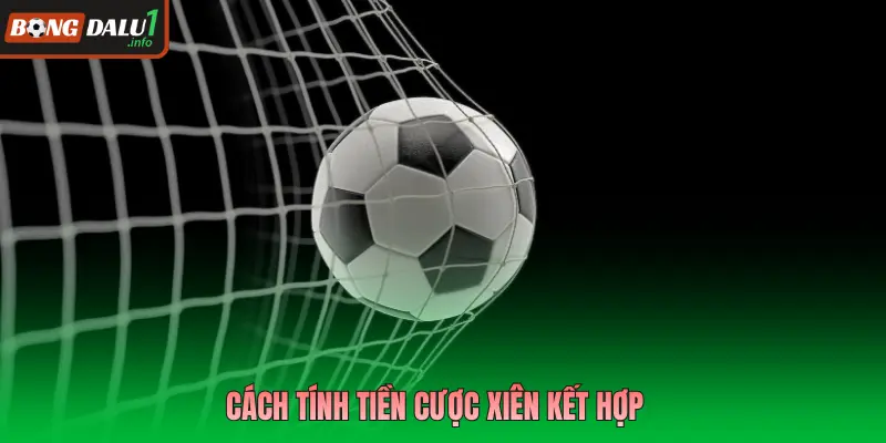 Cách tính tiền cược xiên kết hợp