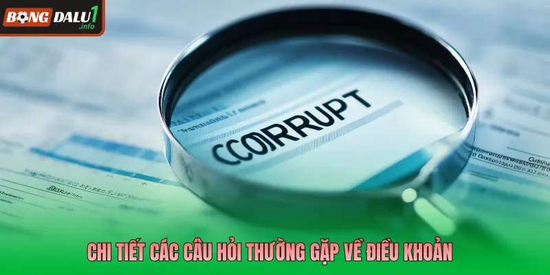 Chi tiết các câu hỏi thường gặp về điều khoản