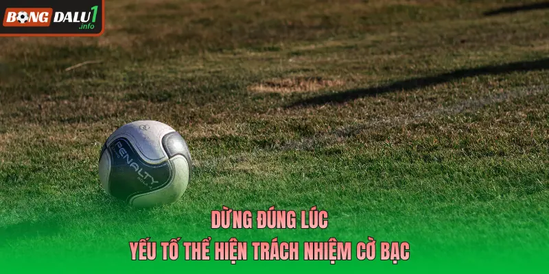 Dừng đúng lúc - Yếu tố thể hiện trách nhiệm cờ bạc