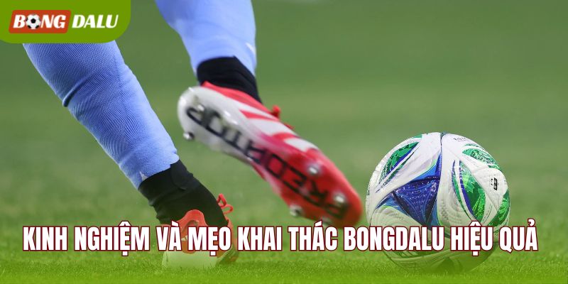 Kinh nghiệm và mẹo khai thác BONGDALU hiệu quả