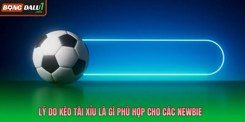 Lý do kèo tài xỉu là gì phù hợp cho các newbie