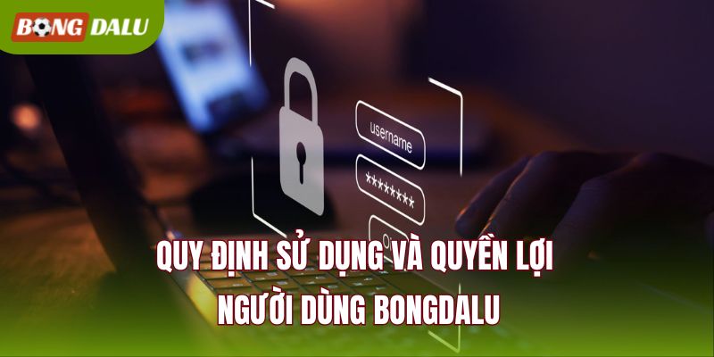 Quy định sử dụng và quyền lợi người dùng BONGDALU