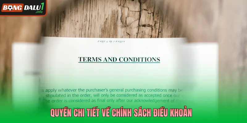 Quyền chi tiết về chính sách điều khoản 