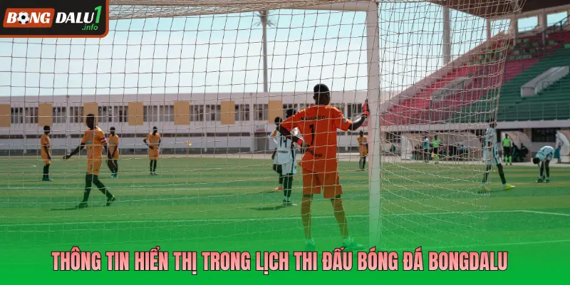 Thông tin hiển thị trong lịch thi đấu bóng đá Bongdalu