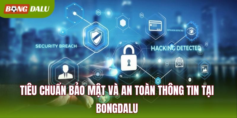 Tiêu chuẩn bảo mật và an toàn thông tin tại BONGDALU