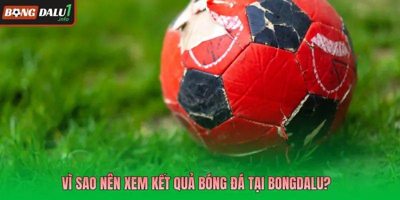 Vì sao nên xem kết quả bóng đá tại Bongdalu?