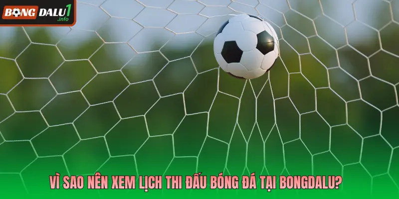 Vì sao nên xem lịch thi đấu bóng đá tại Bongdalu?